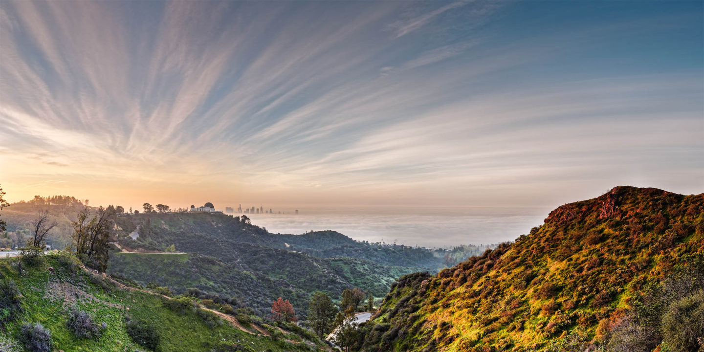The Rise Neighborhood View